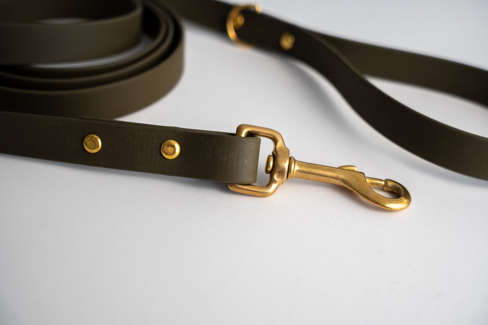 Correa InuOne - Imagen 2