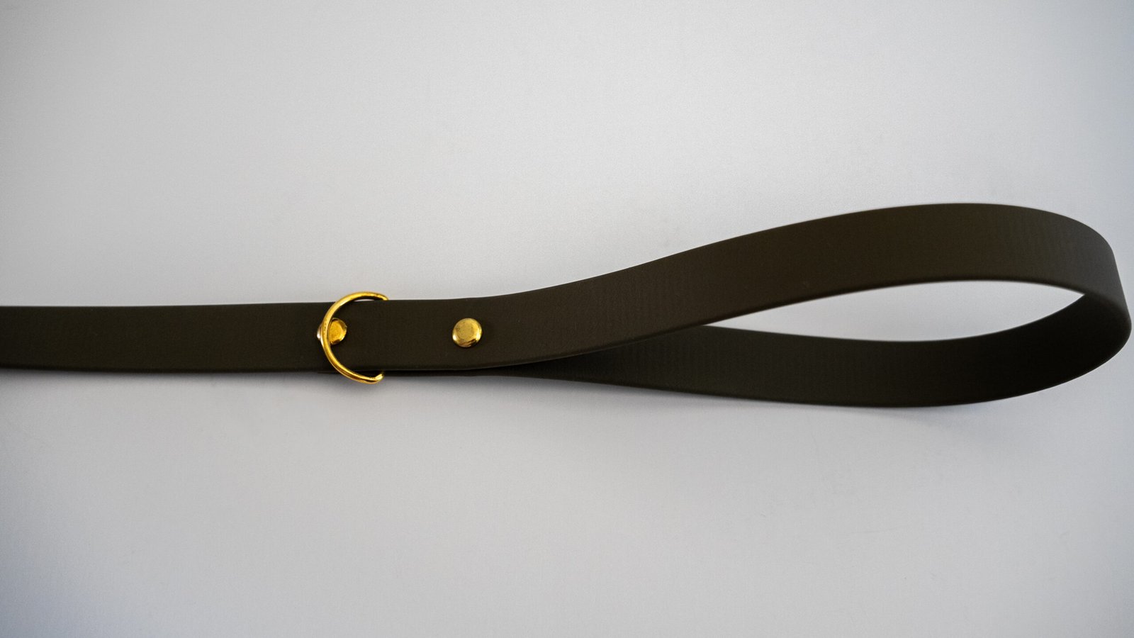 Correa InuOne - Imagen 3