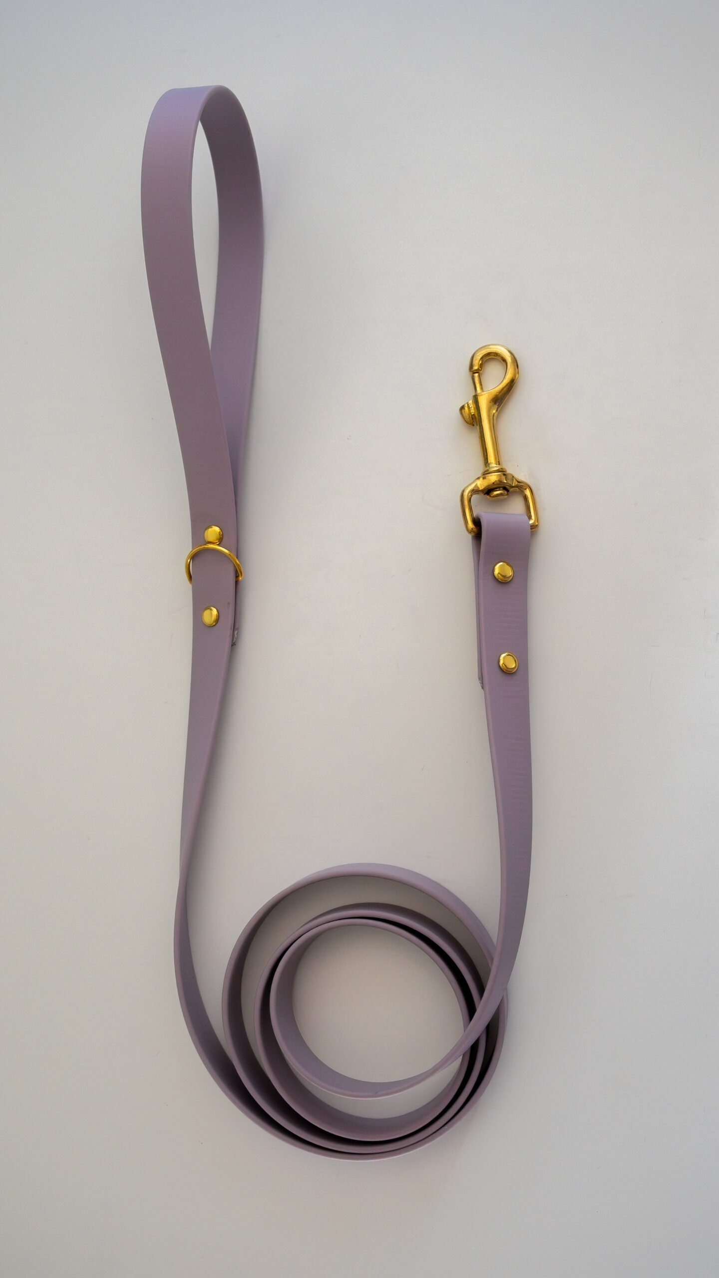 Correa InuOne - Imagen 4