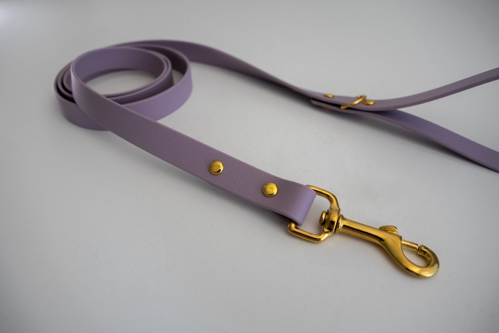 Correa InuOne - Imagen 5