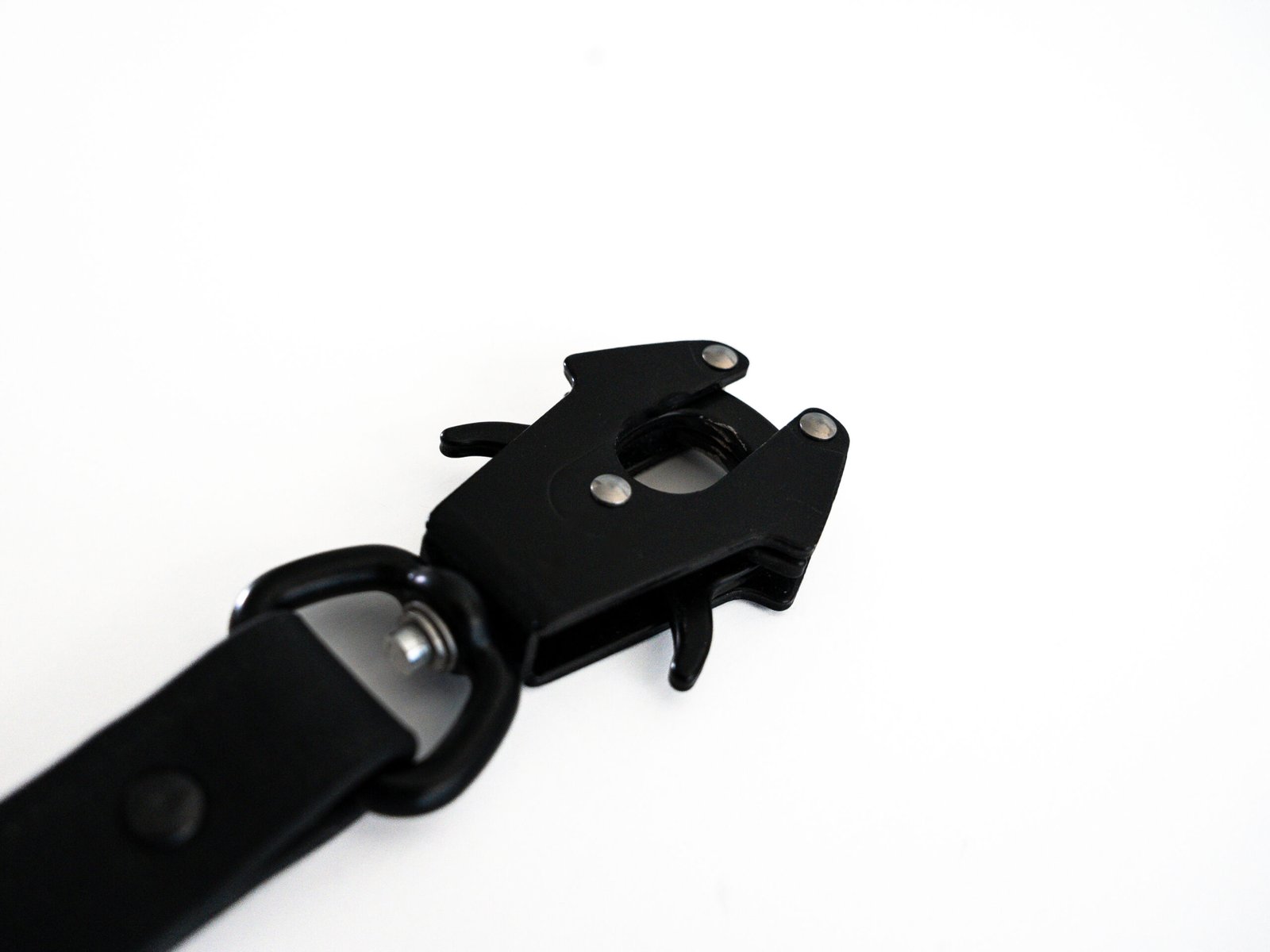 Correa InuOne - Imagen 6